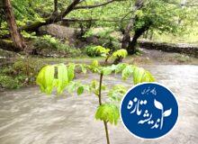 شلاق باران بر پیکر گیلان