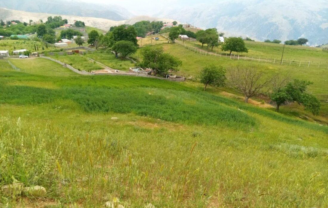 تداوم بارش‌های رگباری باران تا صبح فردا در گیلان