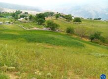 تداوم بارش‌های رگباری باران تا صبح فردا در گیلان