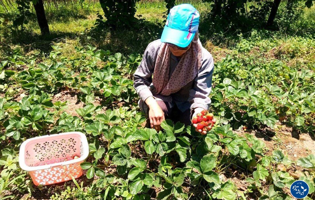 روستای سی دشت رودبار