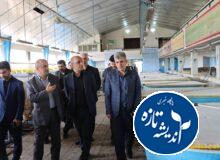 نجات ذخایر خزر در گرو مدیریت صید و توسعه مراکز تکثیر