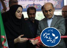 کتابخانه عمومی حکیم فردوسی کلشتر رودبار بازگشایی شد