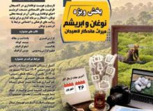 دبیر و اعضای کمیته‌های دومین جشنواره ملی رسانه‌ای چای کشور منصوب شدند