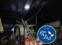 حریق گسترده در نانوایی و سوپرمارکت خیابان بیستون رشت